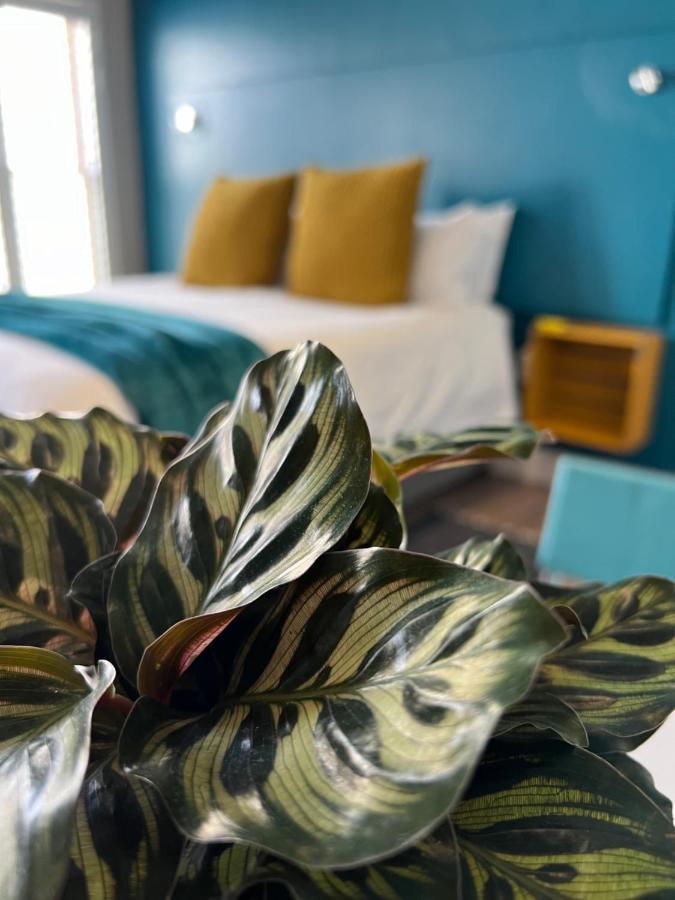 Hermanus Waterfront Apartment No 17 Ngoại thất bức ảnh